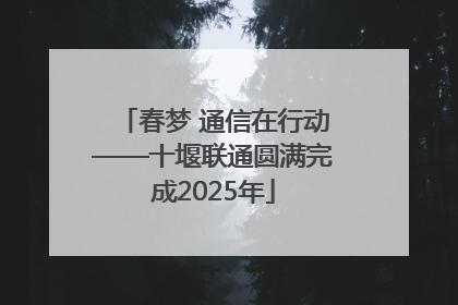 春梦 通信在行动——十堰联通圆满完成2025年