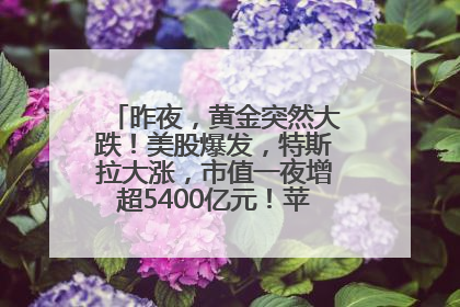 昨夜，黄金突然大跌！美股爆发，特斯拉大涨，市值一夜增超5400亿元！苹果传来大消息