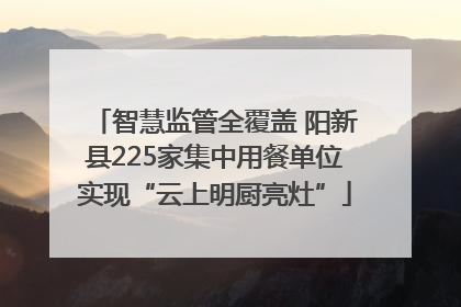 智慧监管全覆盖 阳新县225家集中用餐单位实现“云上明厨亮灶”
