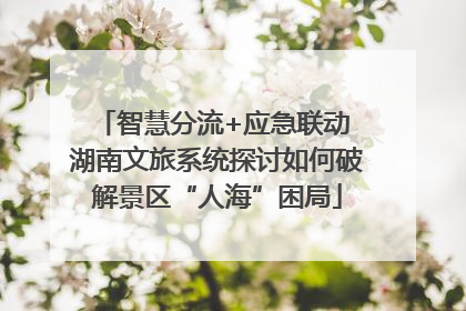 智慧分流+应急联动 湖南文旅系统探讨如何破解景区“人海”困局