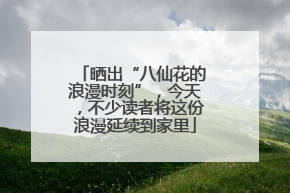 晒出“八仙花的浪漫时刻”，今天，不少读者将这份浪漫延续到家里