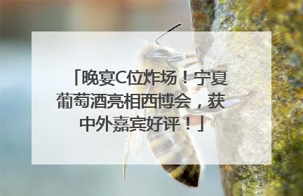 晚宴C位炸场！宁夏葡萄酒亮相西博会，获中外嘉宾好评！