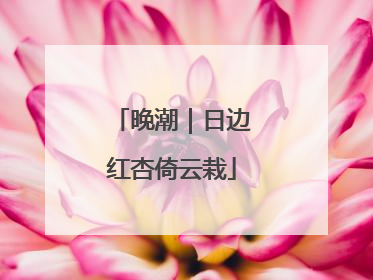 晚潮｜日边红杏倚云栽