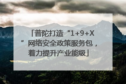 普陀打造“1+9+X”网络安全政策服务包，着力提升产业能级