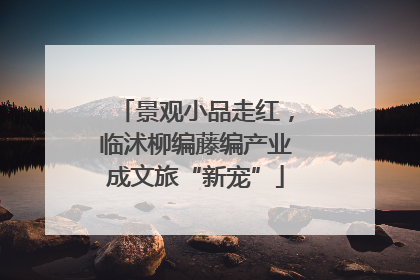 景观小品走红，临沭柳编藤编产业成文旅“新宠”