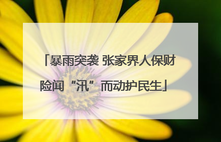 暴雨突袭 张家界人保财险闻“汛”而动护民生