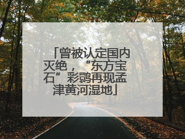 曾被认定国内灭绝，“东方宝石”彩鹮再现孟津黄河湿地