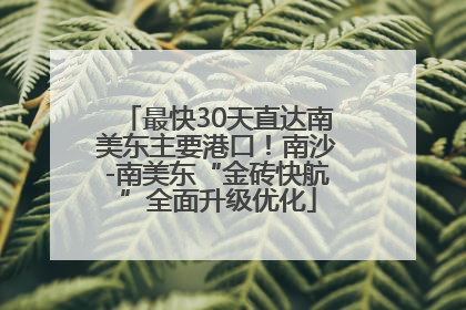 最快30天直达南美东主要港口！南沙-南美东“金砖快航”全面升级优化