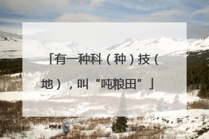 有一种科（种）技（地），叫“吨粮田”