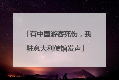 有中国游客死伤，我驻意大利使馆发声
