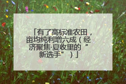 有了高标准农田，亩均纯利增六成（经济聚焦·夏收里的“新选手”）