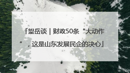 望岳谈｜财政50条“大动作”，这是山东发展民企的决心