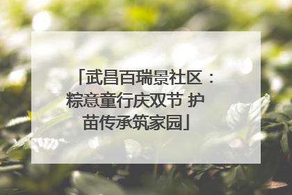 武昌百瑞景社区：粽意童行庆双节 护苗传承筑家园
