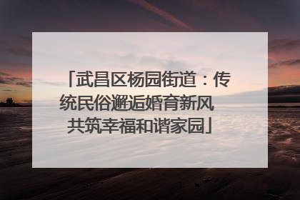 武昌区杨园街道：传统民俗邂逅婚育新风 共筑幸福和谐家园