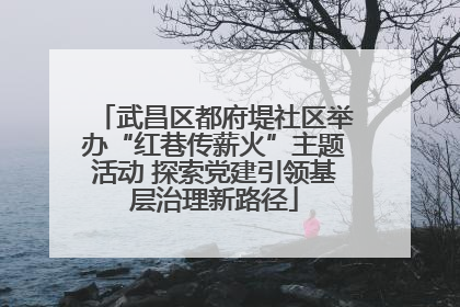 武昌区都府堤社区举办“红巷传薪火”主题活动 探索党建引领基层治理新路径