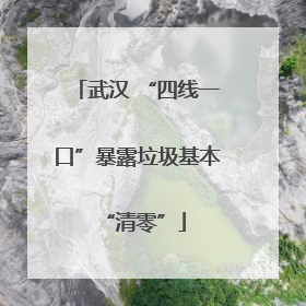 武汉 “四线一口”暴露垃圾基本 “清零”