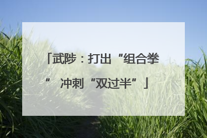 武陟：打出“组合拳” 冲刺“双过半”