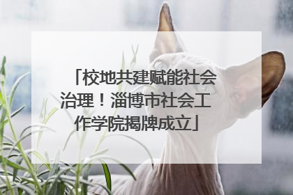 校地共建赋能社会治理！淄博市社会工作学院揭牌成立