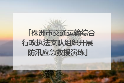 株洲市交通运输综合行政执法支队组织开展防汛应急救援演练