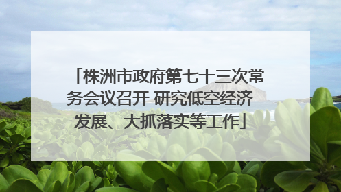 株洲市政府第七十三次常务会议召开 研究低空经济发展、大抓落实等工作