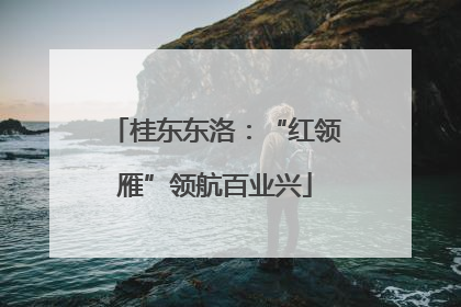 桂东东洛：“红领雁”领航百业兴