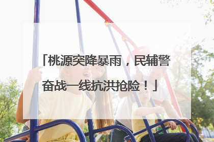 桃源突降暴雨，民辅警奋战一线抗洪抢险！