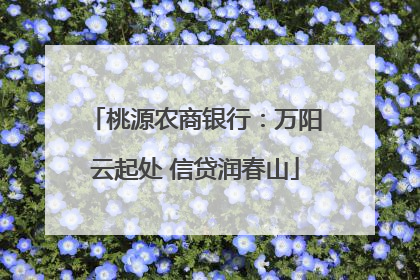 桃源农商银行：万阳云起处 信贷润春山