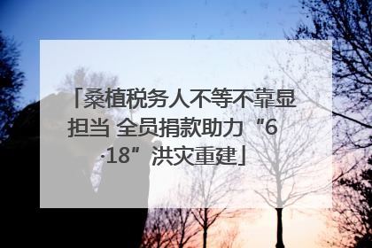 桑植税务人不等不靠显担当 全员捐款助力“6·18”洪灾重建