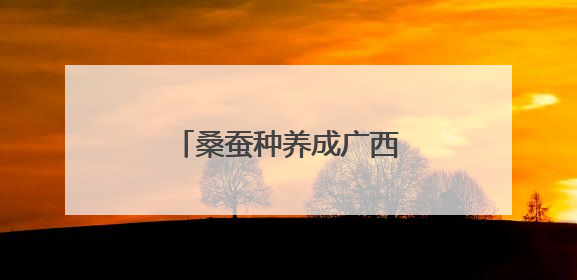 桑蚕种养成广西柳州柳江区民众增收致富特色产业