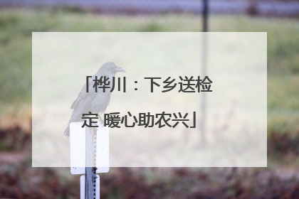 桦川：下乡送检定 暖心助农兴