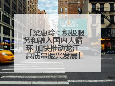 梁惠玲：积极服务和融入国内大循环 加快推动龙江高质量振兴发展