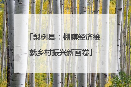 梨树县：棚膜经济绘就乡村振兴新画卷