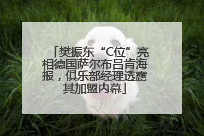 樊振东“C位”亮相德国萨尔布吕肯海报，俱乐部经理透露其加盟内幕