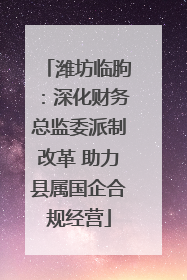 潍坊临朐:深化财务总监委派制改革 助力县属国企合规经营