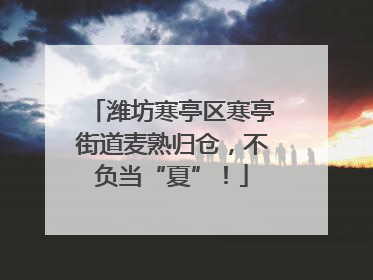 潍坊寒亭区寒亭街道麦熟归仓，不负当“夏”！