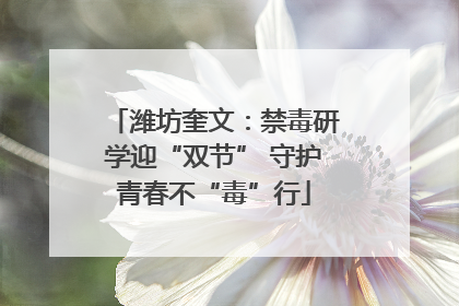 潍坊奎文：禁毒研学迎“双节” 守护青春不“毒”行
