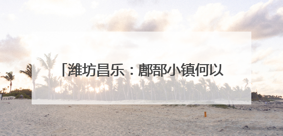 潍坊昌乐：鄌郚小镇何以年产电吉他200万把？