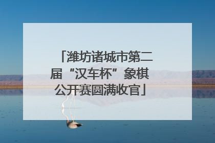 潍坊诸城市第二届“汉车杯”象棋公开赛圆满收官