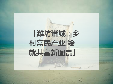 潍坊诸城：乡村富民产业 绘就共富新图景
