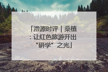 澧源时评｜桑植：让红色旅游开出“研学”之光