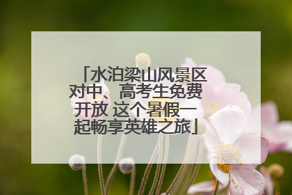 水泊梁山风景区对中、高考生免费开放 这个暑假一起畅享英雄之旅
