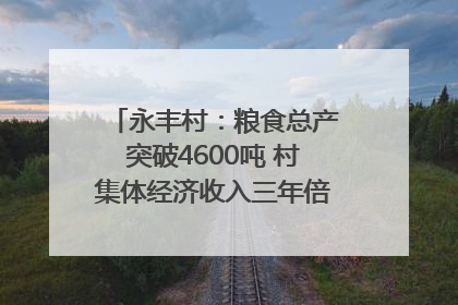 永丰村：粮食总产突破4600吨 村集体经济收入三年倍增｜牵挂的村