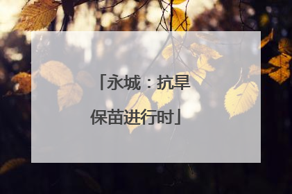 永城：抗旱保苗进行时