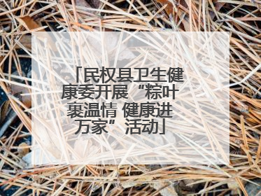 民权县卫生健康委开展“粽叶裹温情 健康进万家”活动