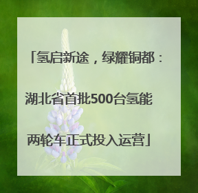 氢启新途，绿耀铜都：湖北省首批500台氢能两轮车正式投入运营
