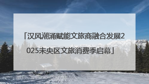 汉风潮涌赋能文旅商融合发展2025未央区文旅消费季启幕
