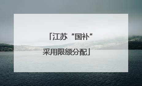 江苏“国补”采用限额分配