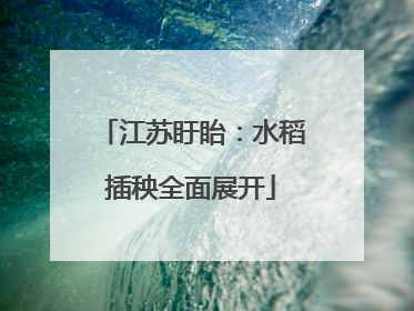 江苏盱眙：水稻插秧全面展开