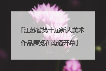 江苏省第十届新人美术作品展览在南通开幕