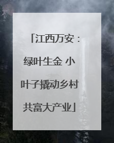 江西万安：绿叶生金 小叶子撬动乡村共富大产业